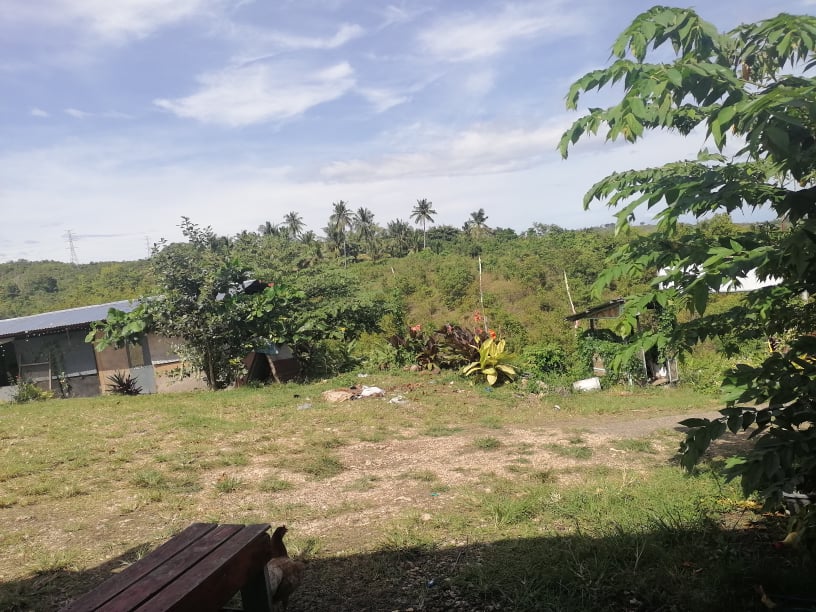 Rolan Miaga Lot Only Philippine Access Sales Network